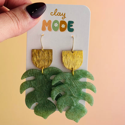Monstera