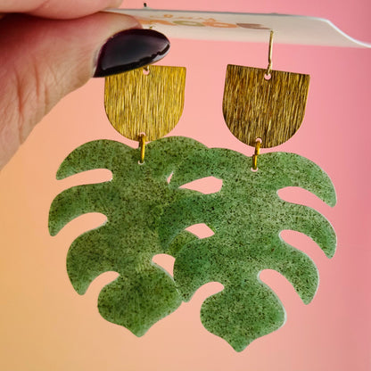Monstera